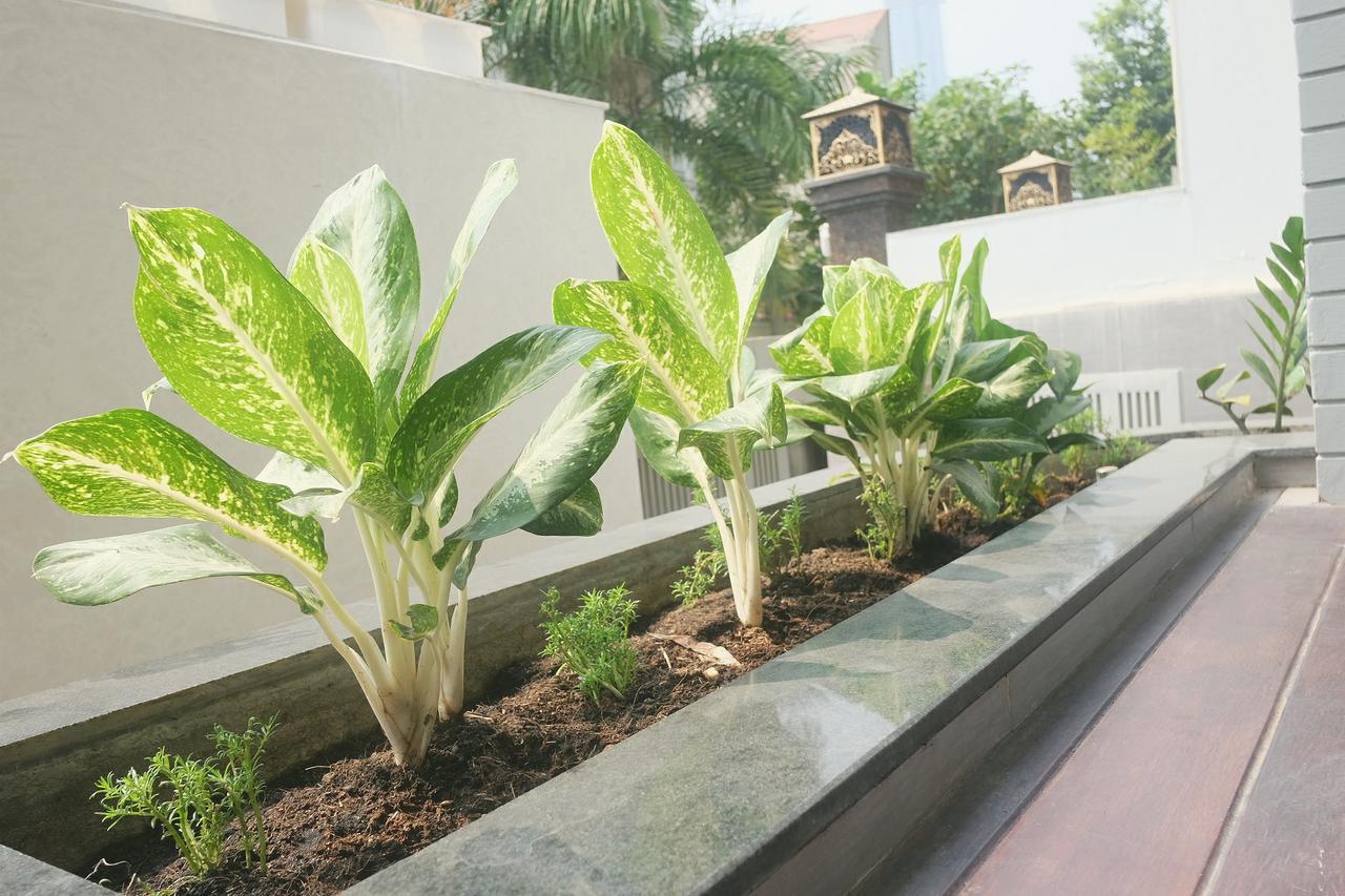 Greenwood Villa Saigon Thành Pho Ho Chí Minh Esterno foto