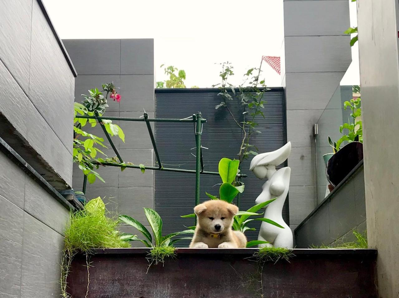 Greenwood Villa Saigon Thành Pho Ho Chí Minh Esterno foto